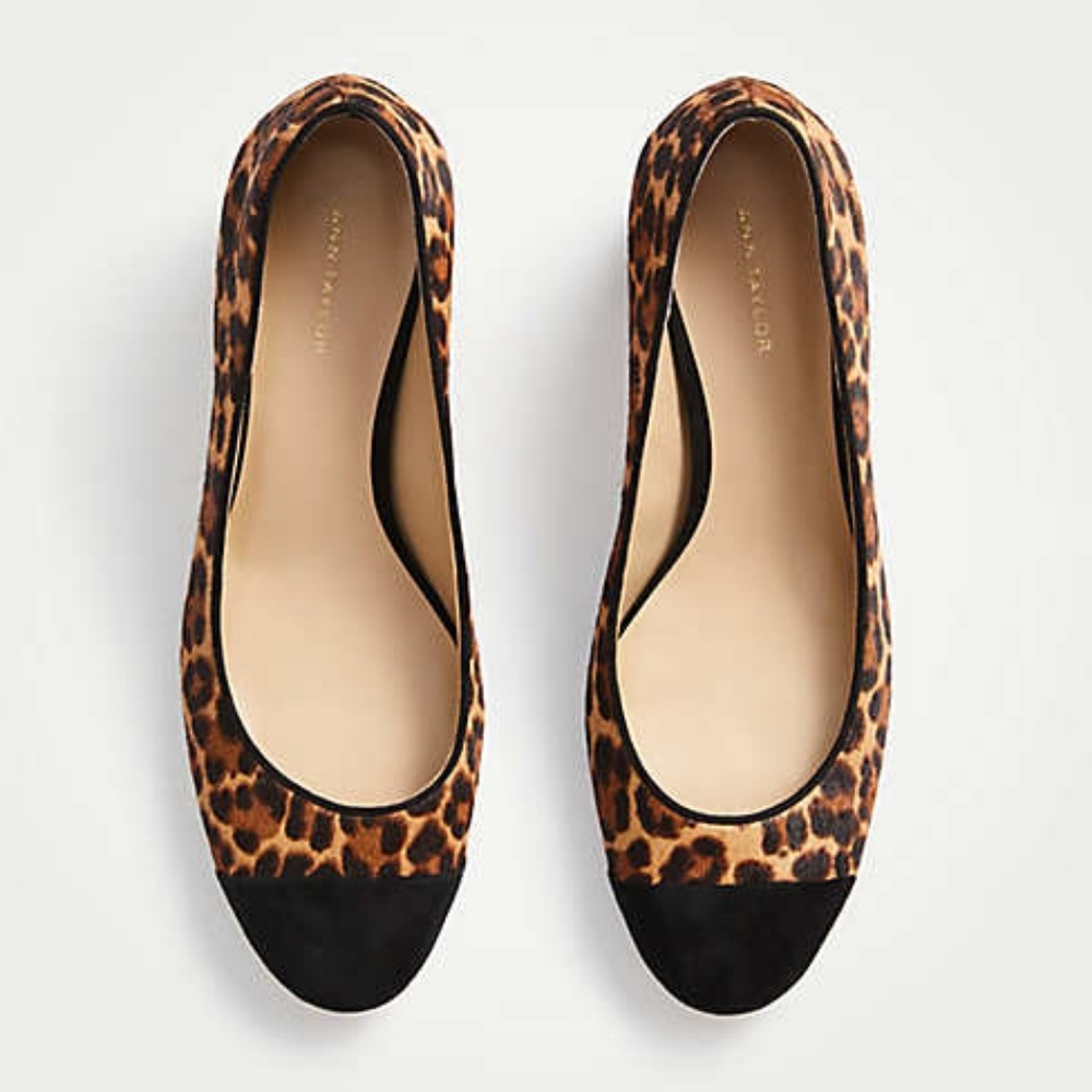 NIB Ann Taylor Odelia Leopard Haircalf Cap Toe Heels